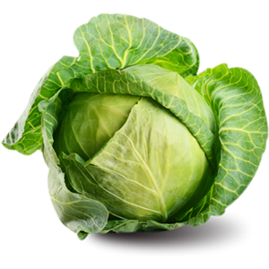 Cabbage PNG image-8804